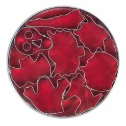 Städter Ausstechform Halloween 4–6,5 Cm Set, 8-teilig