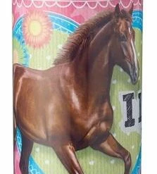 WMF Bratentopf Bueno Induktion