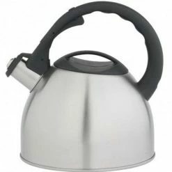 Bredemeijer Flötenkessel Edelstahl Matt Gebürstet, 2,5 Liter