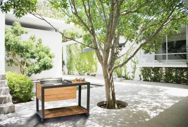 Wüsthof Kochmesser Urban Farmer - Image 8